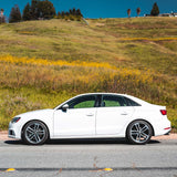 034Motorsport Dynamic + Lowering Springs (A3/S3 Non-Magride) - Equilibrium Tuning, Inc.